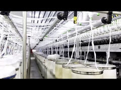 โรงงานผลิตเส้น